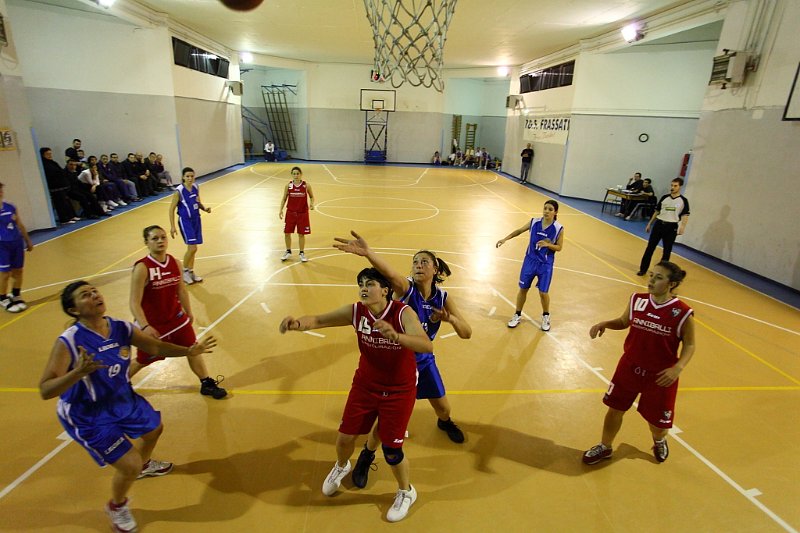 Basket 443086